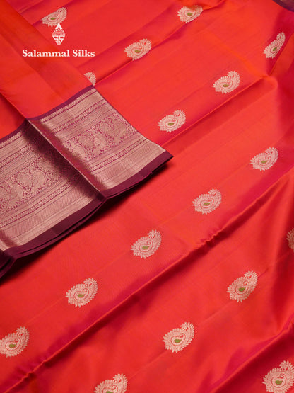 Beautiful Redish Pink Pure Kanjivaram Silk Saree With Contrast Magenta Traditional Evening Morning Border