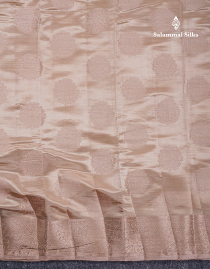Beautiful Beige Semi Raw Silk Saree With Fancy Border