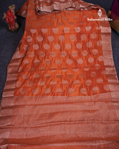 Beautiful Beige Semi Raw Silk Saree With Fancy Border