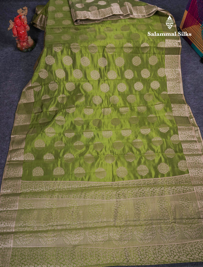 Beautiful Beige Semi Raw Silk Saree With Fancy Border