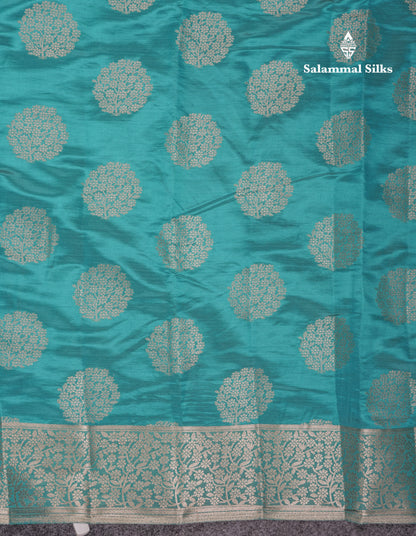 Beautiful Beige Semi Raw Silk Saree With Fancy Border