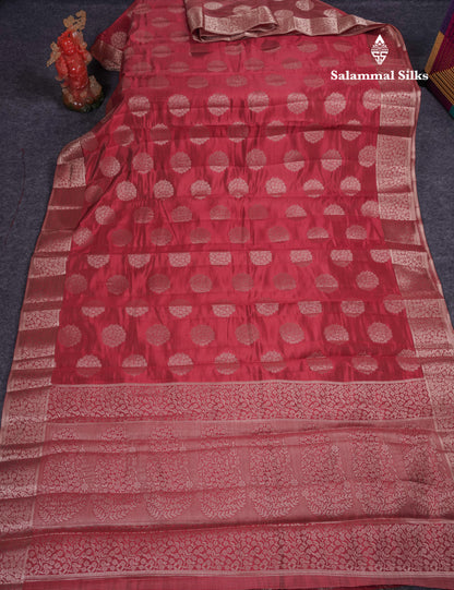 Beautiful Beige Semi Raw Silk Saree With Fancy Border