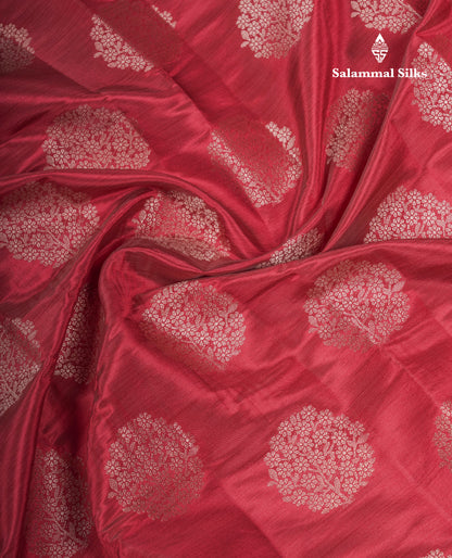 Beautiful Beige Semi Raw Silk Saree With Fancy Border