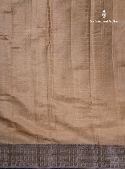 Beautiful Dark Brown Semi Raw Silk Saree With Fancy Border