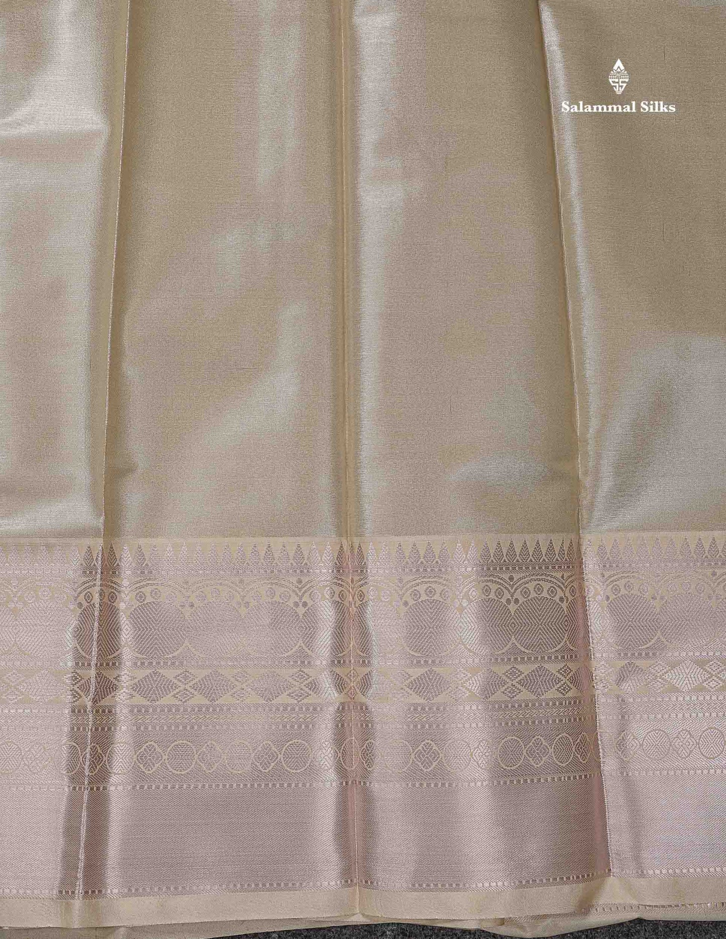 Beautiful Light Chocolate Brown Semi Silk Saree With Traditional Evening Morning Border