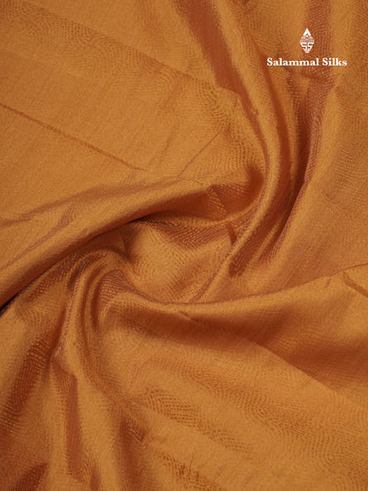 Beautiful Dark Brown Semi Raw Silk Saree With Fancy Border