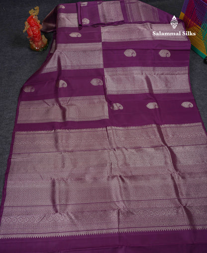 Beautiful Dark Purple Fancy Pure Kanjivaram Silk Saree With Contrast Bottle Green Blouse