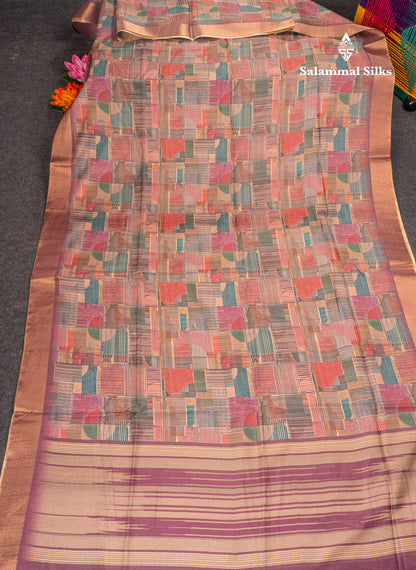 Brown Semi Tussar Fancy Saree With Gold Border