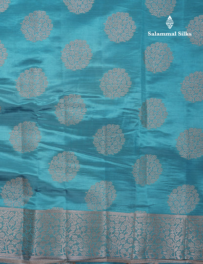 Beautiful Sky Blue Semi Raw Silk Saree With Fancy Border