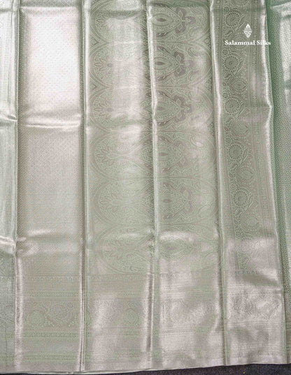 Light Sea Green Bridal Tissue Semi Silk Saree With Traditional Evening Morning Border