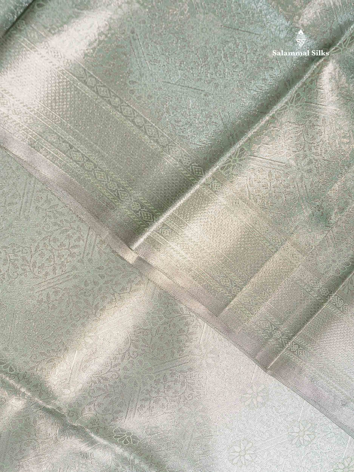 Light Sea Green Bridal Tissue Semi Silk Saree With Traditional Evening Morning Border