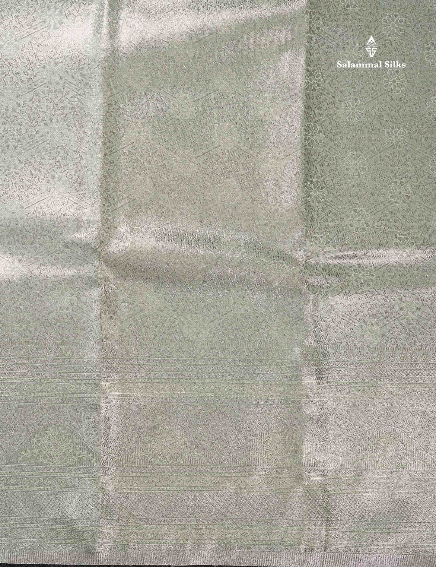 Light Sea Green Bridal Tissue Semi Silk Saree With Traditional Evening Morning Border