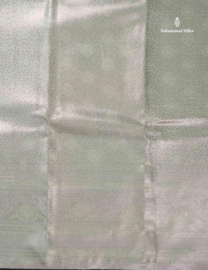 Light Sea Green Bridal Tissue Semi Silk Saree With Traditional Evening Morning Border