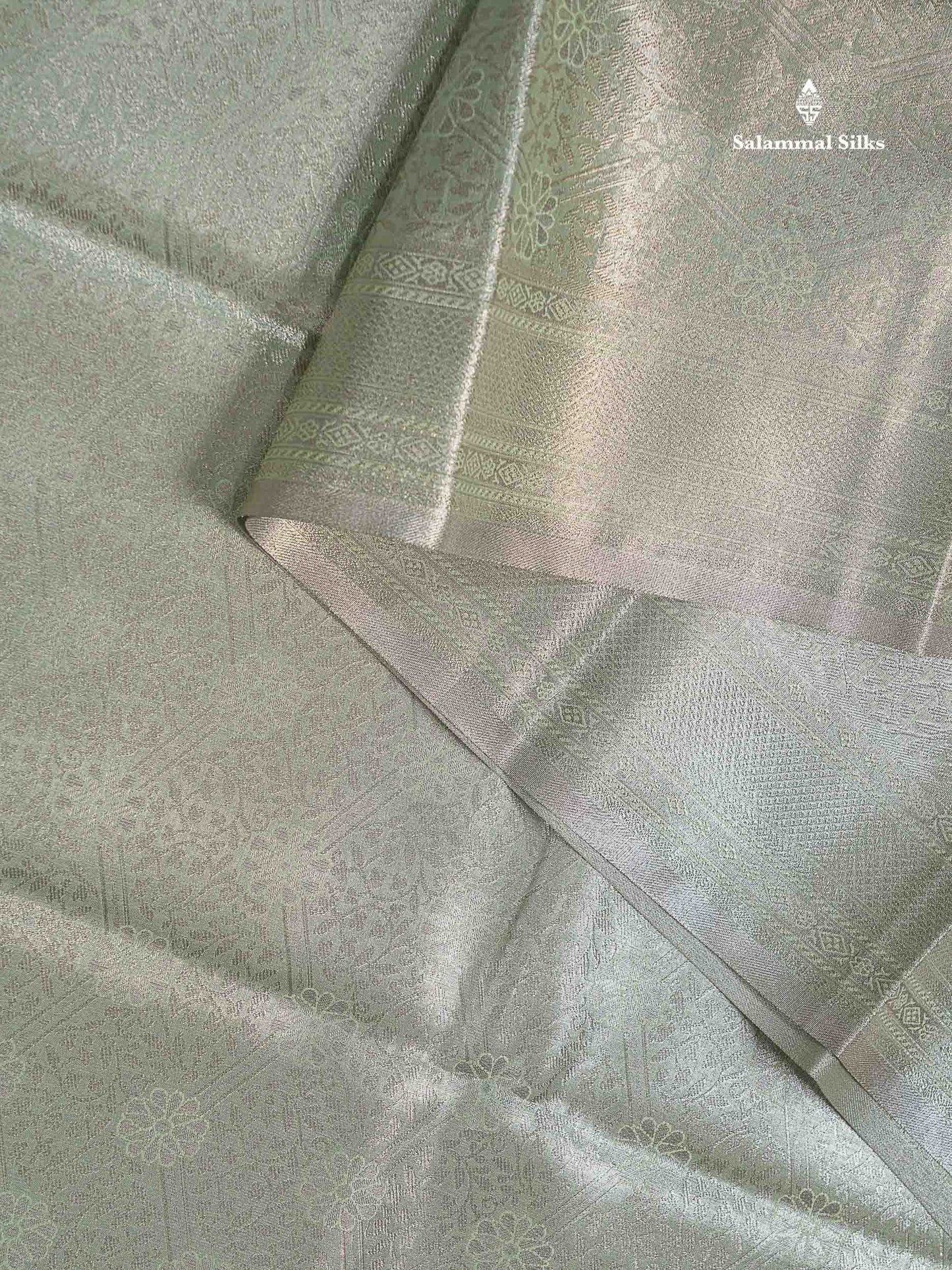 Light Sea Green Bridal Tissue Semi Silk Saree With Traditional Evening Morning Border