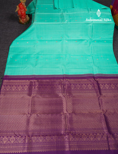 Beautiful Sky Blue Pure Kanjivaram Silk Saree With Contrast Dark Purple Blouse