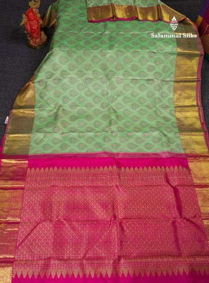 Beautiful Rexona Green Pure Kanjivaram Silk Saree WithTraditional Border