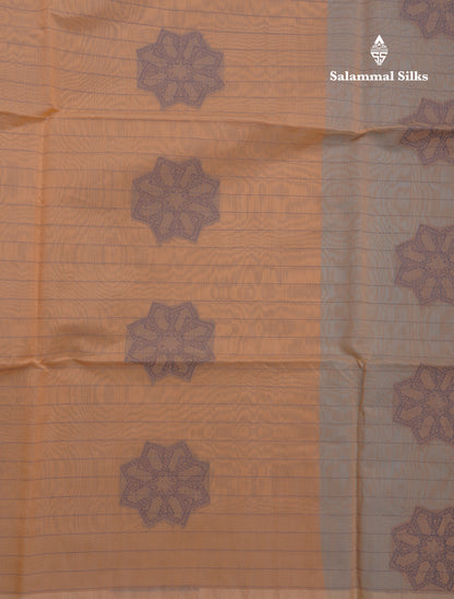 Peach Beautiful Fancy Kora Cotton Saree With Contrast Sky Blue Blouse