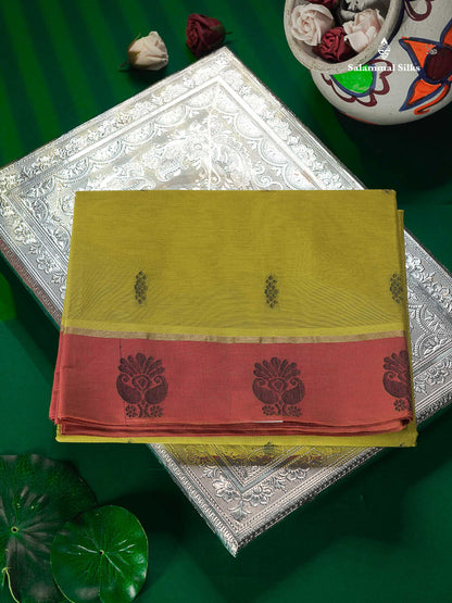 Pure Cotton Saree - Green Colour Body Thread Butta With Contrast Pink Border