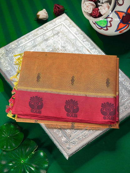 Pure Cotton Saree - Mustard Yellow Colour Body Thread Butta With Contrast Pink Border