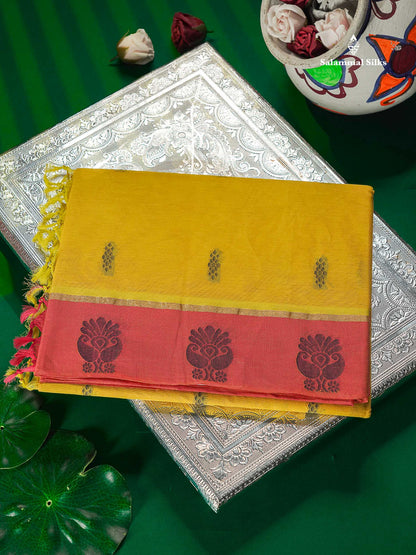 Pure Cotton Saree - Yellow Colour Body Thread Butta With Dual Tone Pink Border