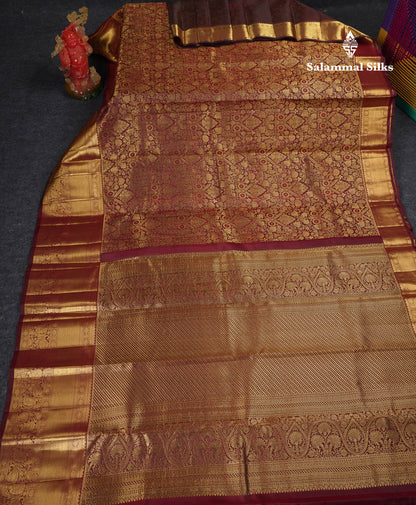 Beautiful Dark Brown Bridal Pure Kanjivaram Silk Saree With Traditional Evening Morning Border