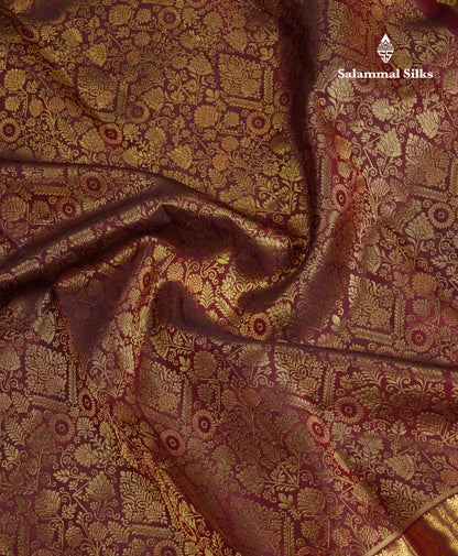 Beautiful Dark Brown Bridal Pure Kanjivaram Silk Saree With Traditional Evening Morning Border