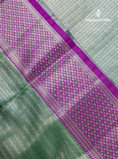 Beautiful Light Green Tissue Silk Mix Saree With Contrast Vadamalli Traditional Pallaku Evening Morning Border
