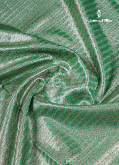 Beautiful Light Green Tissue Silk Mix Saree With Contrast Vadamalli Traditional Pallaku Evening Morning Border