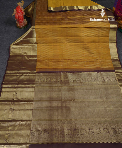 Beautiful Olive Mustard Yellow Pure Kanjivaram Silk Saree With Contrast Dark Brown Tradiional Evening Morning Border
