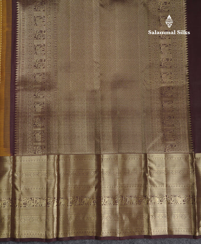 Beautiful Olive Mustard Yellow Pure Kanjivaram Silk Saree With Contrast Dark Brown Tradiional Evening Morning Border