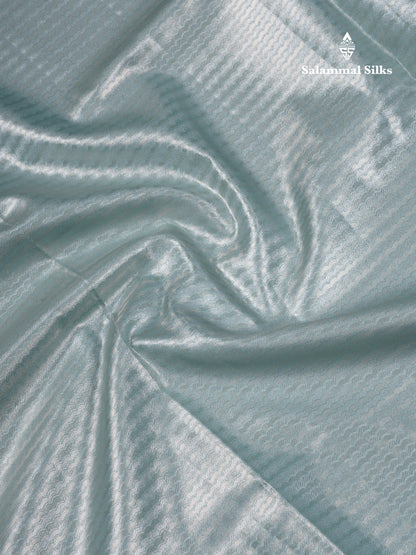 Beautiful Light Green Tissue Silk Mix Saree With Contrast Vadamalli Traditional Pallaku Evening Morning Border