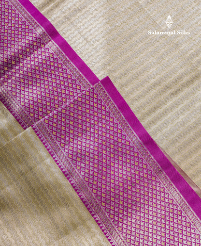 Beautiful Light Green Tissue Silk Mix Saree With Contrast Vadamalli Traditional Pallaku Evening Morning Border