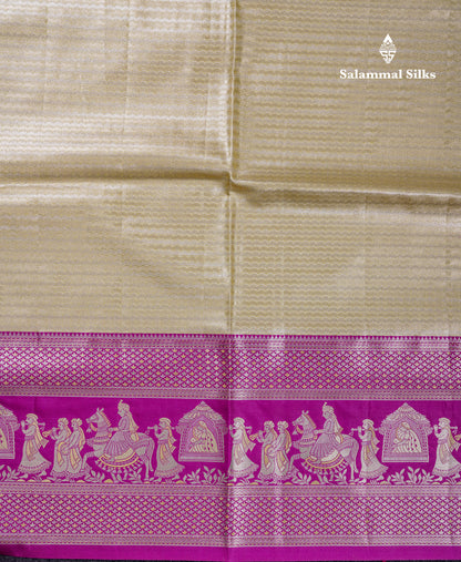 Beautiful Light Green Tissue Silk Mix Saree With Contrast Vadamalli Traditional Pallaku Evening Morning Border