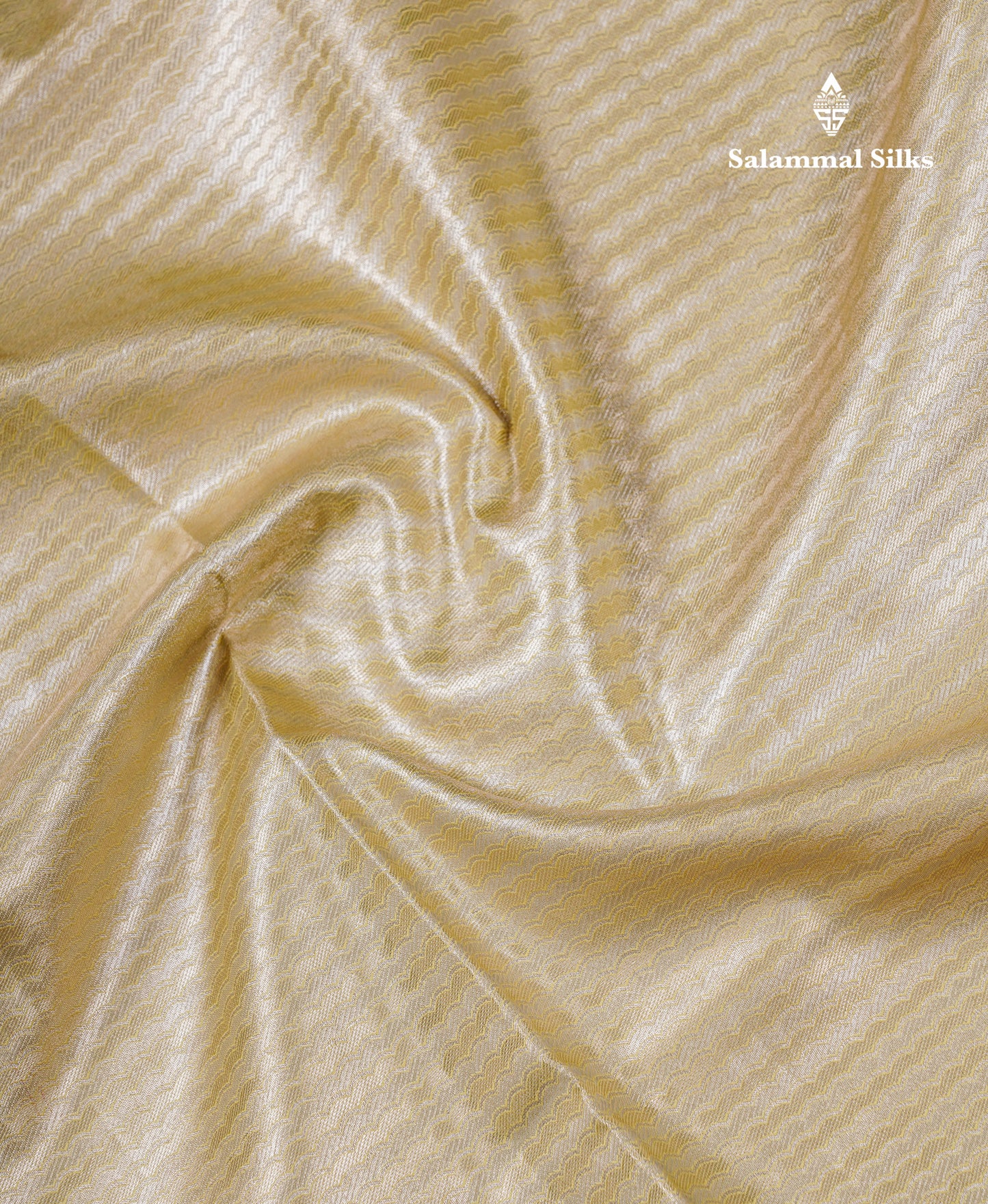 Beautiful Light Green Tissue Silk Mix Saree With Contrast Vadamalli Traditional Pallaku Evening Morning Border