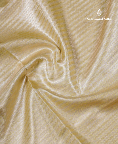 Beautiful Light Green Tissue Silk Mix Saree With Contrast Vadamalli Traditional Pallaku Evening Morning Border