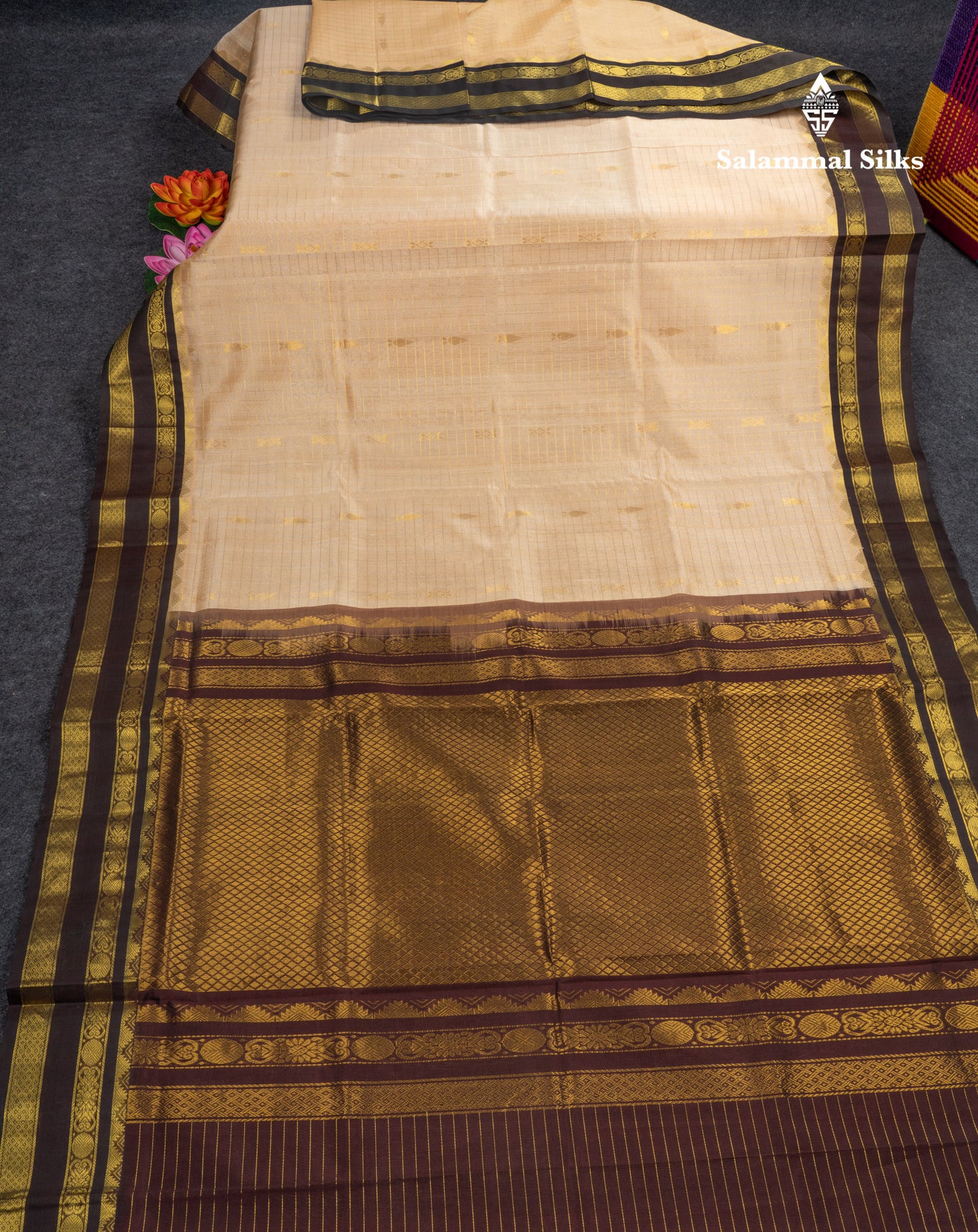 Beige Pure Silk Cotton Saree With Contrast Dark Brown Traditional Gap Border