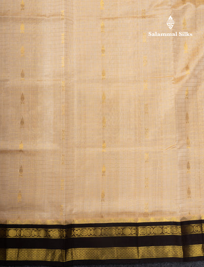 Beige Pure Silk Cotton Saree With Contrast Dark Brown Traditional Gap Border
