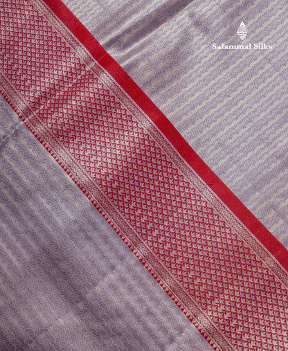 Beautiful Light Green Tissue Silk Mix Saree With Contrast Vadamalli Traditional Pallaku Evening Morning Border