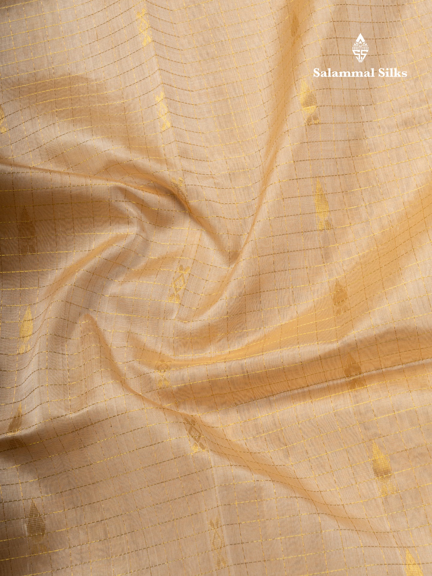 Beige Pure Silk Cotton Saree With Contrast Dark Brown Traditional Gap Border