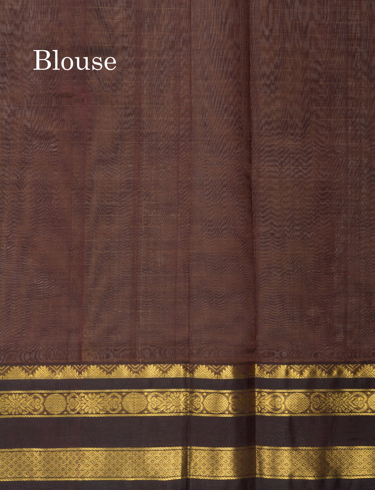 Beige Pure Silk Cotton Saree With Contrast Dark Brown Traditional Gap Border