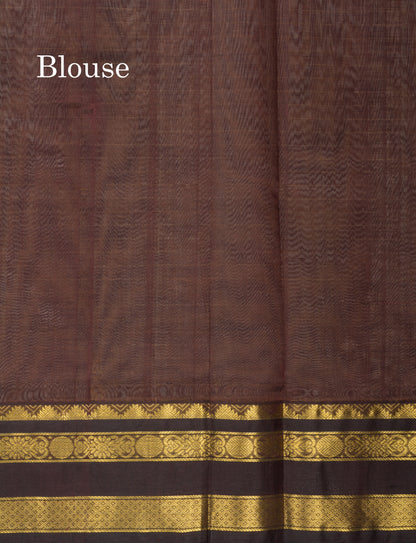 Beige Pure Silk Cotton Saree With Contrast Dark Brown Traditional Gap Border
