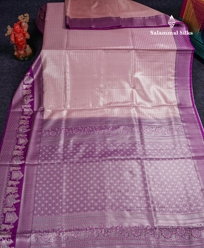 Beautiful Light Green Tissue Silk Mix Saree With Contrast Vadamalli Traditional Pallaku Evening Morning Border