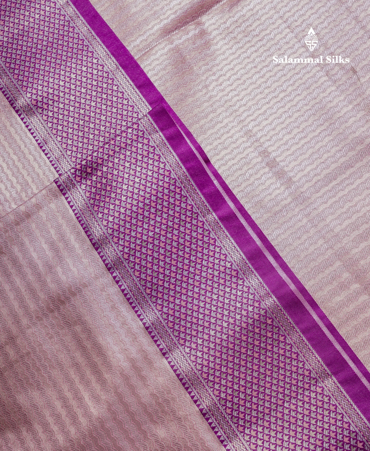 Beautiful Light Green Tissue Silk Mix Saree With Contrast Vadamalli Traditional Pallaku Evening Morning Border