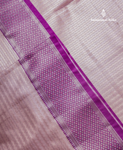 Beautiful Light Green Tissue Silk Mix Saree With Contrast Vadamalli Traditional Pallaku Evening Morning Border