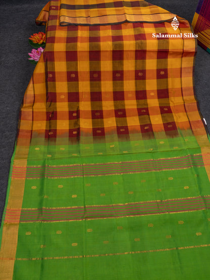 Paalum Pazham Checks Pure Silk Cotton Saree With Contrast Parrot Green Pallu