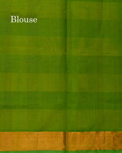 Paalum Pazham Checks Pure Silk Cotton Saree With Contrast Parrot Green Pallu