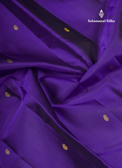 Beautiful Violet Pure Kanjivaram Silk Saree With Contrast Sapphire Green Traditional Small Border