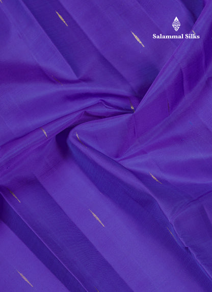 Beautiful Violet Pure Kanjivaram Silk Saree With Contrast Vadamalli Traditional Small Border