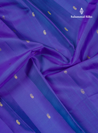 Beautiful Dual Tone Peacock Blue Pure Kanjivaram Silk Saree With Contrast Vadamalli Traditional Small Border
