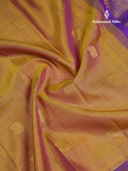 Beautiful Mustard Yellow Pure Kanjivaram Silk Saree With Contrast Violet Traditional Evening Morning Border